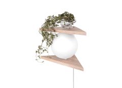 Seinalamp Angolo Tree, naturaalne