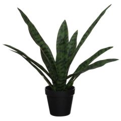 KUNSTTAIM POTIS H51CM 607589