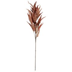 KUNSTLILL 5PL0198 98cm ORANZIKASPRUUN