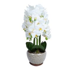 Orhidee GREENLAND H72cm hall pott, valge