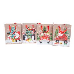Kinkekott MERRY S, 18x23x10cm, mix