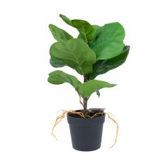 Kunsttaim GREENLAND H35cm, "Clusia rosea