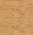 Tagaseina plaat Lancelot tamm