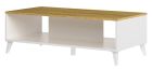 Diivanilaud Barris 41, 120x60xK40 cm