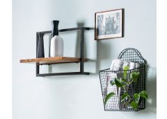 Riiul Panama, India roosipuu