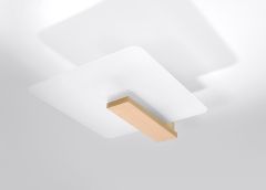 Plafoon Lappo, naturaalne