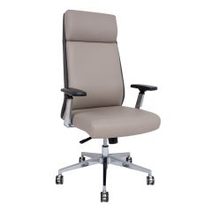 Task chair CARNEY must