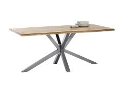 Söögilaud Tisches 100x200