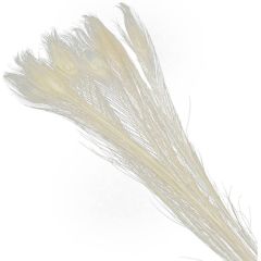 KUNSTLILL PEACOCK CREAM H50CM MAS-4792 X