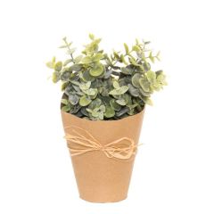 KUNSTTAIM POTIS EÜKALÜPT SUUR.LEH 603064 ROH.