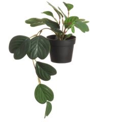 KUNSTLILL RAADI POTIS 612527 RIPPUV 38CM