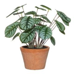 KUNSTLILL POTIS ARROWROOT 632815 H29CM