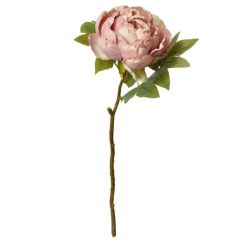 KUNSTLILL ROOS 6PL0335 48cm ROOSA