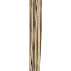 Bambuskepid IN GARDEN H150cm 10tk D10/12