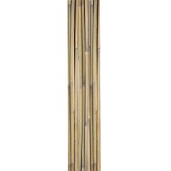 Bambuskepid IN GARDEN H180cm 10tk D12/14