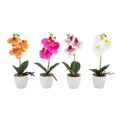 Orhidee GREENLAND H30cm valge pott, mix