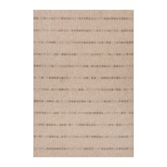 Esikuvaip DAWN FOAM-4, 80x200cm
