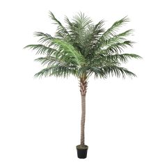 Kunstpuu WIND PALM H260cm