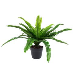 Kunsttaim BOSTON FERN, H60cm, sõnajalg