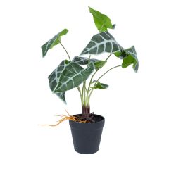 Kunsttaim GREENLAND H40cm, "Alocasia"