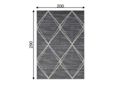 Vaip Firenze 200x290 cm, tumehall/kreemjas