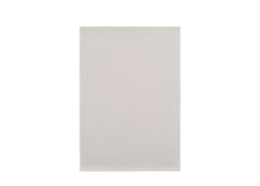 Vaip Easy Shag 60x90 cm, elevandiluuvärvi