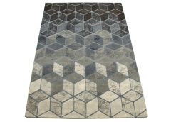 Vaip ARGENTUM 63488-6656 120x170